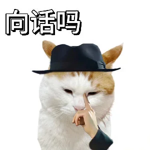 向话吗