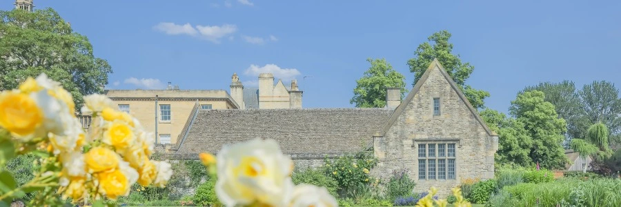 Welcome to BIIBII.CN