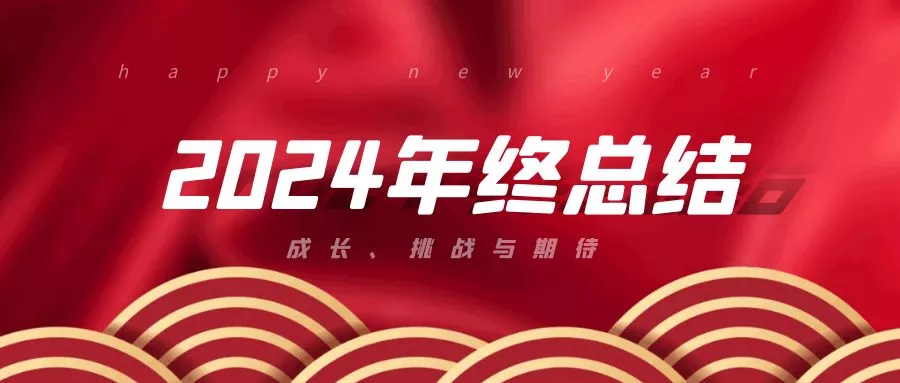 2024年终总结:成长、挑战与期待