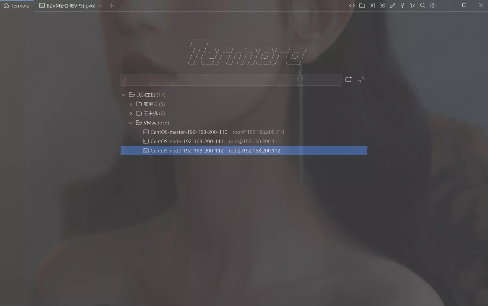 Termora界面.webp